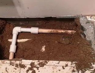 苏州市测漏水哪家好