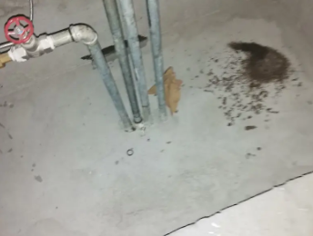 苏州市卫生间测漏水价格明细