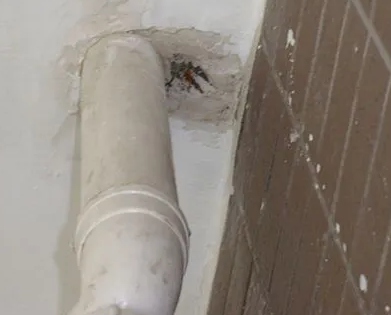 苏州市漏水检测哪家好